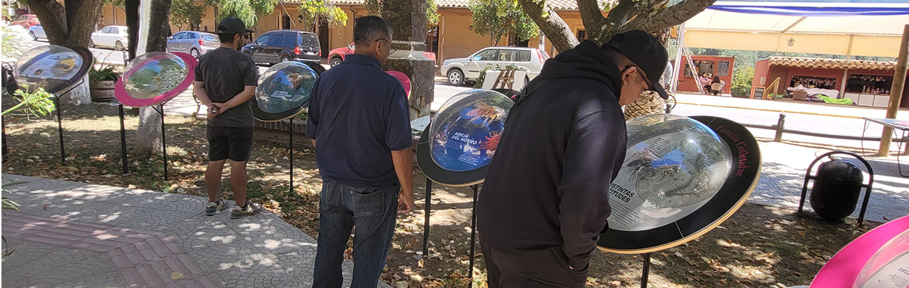 Fotografía de personas viendo la exposición en Vichuquén
