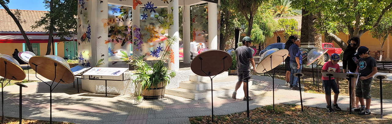 Fotografía de personas viendo la exposición en Vichuquén